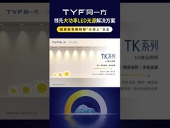 TYF TK Comercial Lighting
